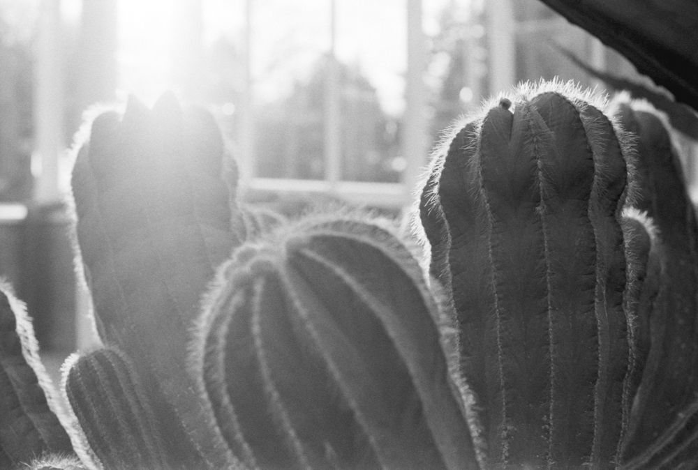 Landscapes — photo 0254