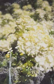 Color & Light photo 0224