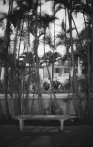 Street & Shadow photo 0876