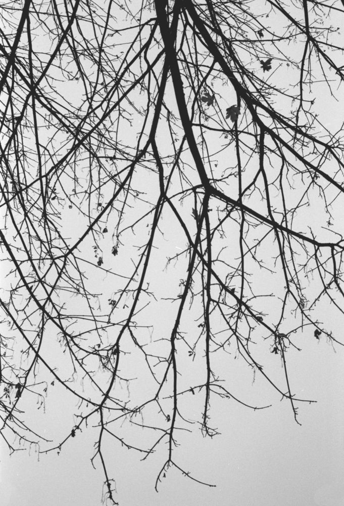 Architecture & Structure — photo 0862