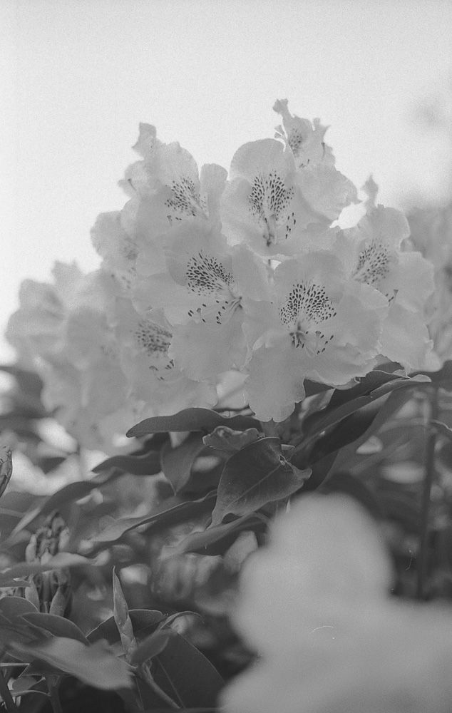 Landscapes — photo 0765