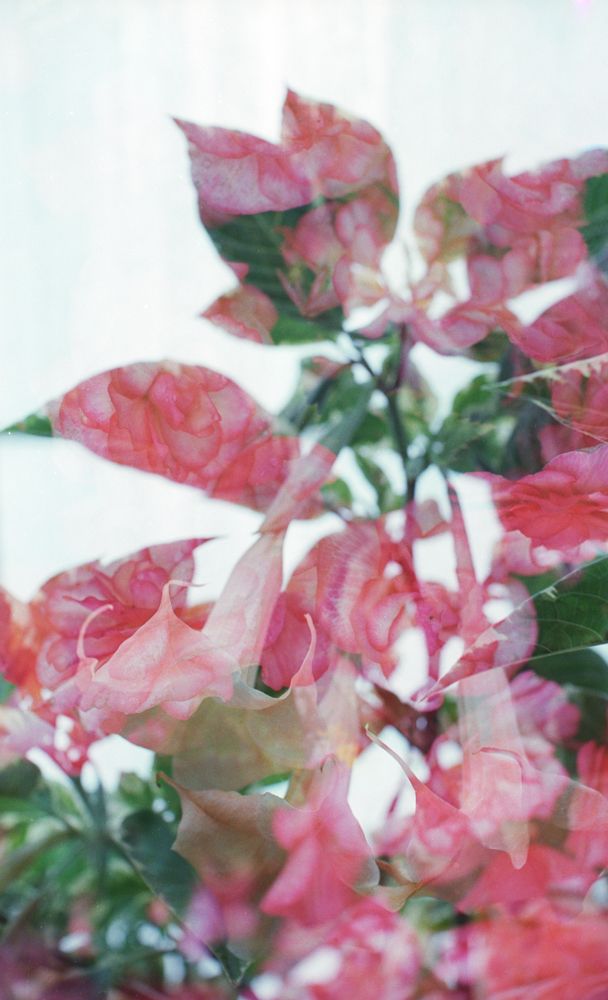 Color & Light — photo 0153