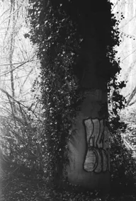 Architecture & Structure photo 0576