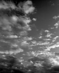 Street & Shadow photo 0057
