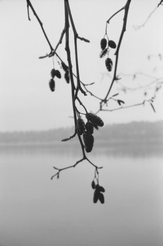 Soft Light & Atmosphere — photo 0270