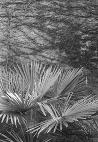 Architecture & Structure photo 0255