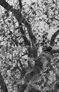 Architecture & Structure photo 0123