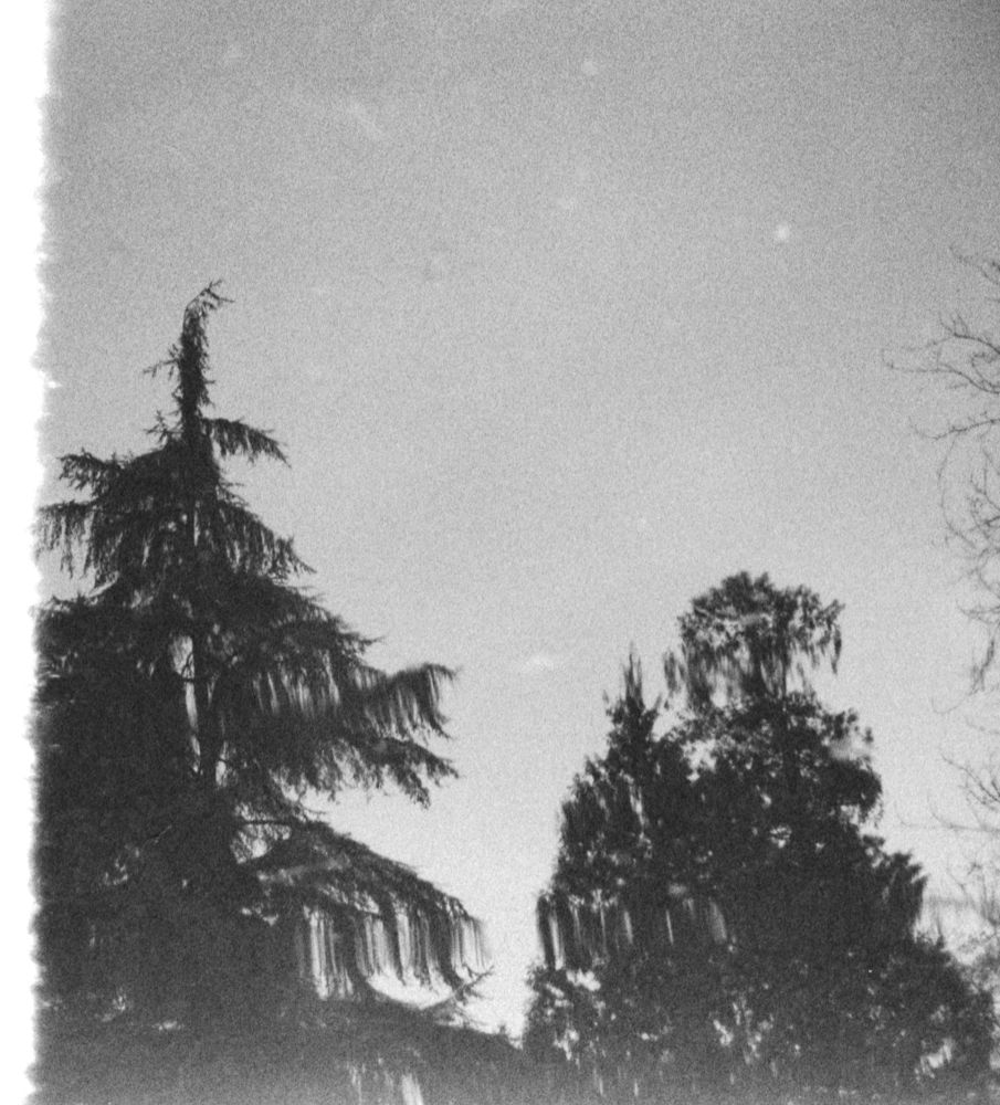 Landscapes — photo 0578