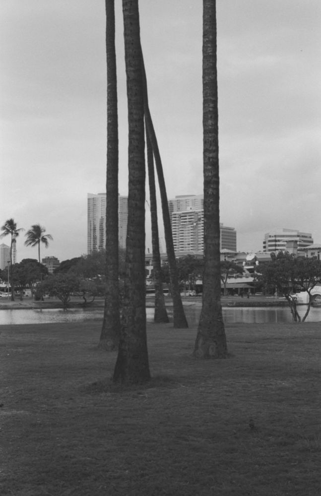 Landscapes — photo 0848