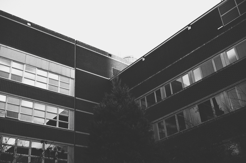Landscapes — photo 0776