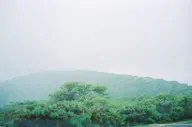 Color & Light photo 0818
