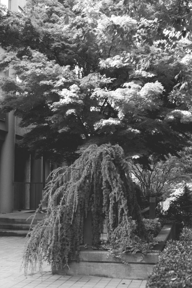 Architecture & Structure — photo 0833