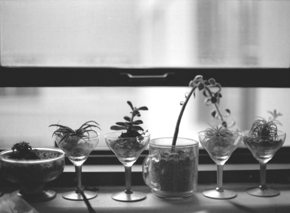 Landscapes — photo 0868
