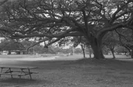 Street & Shadow photo 0849