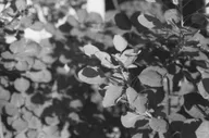 Architecture & Structure photo 0894