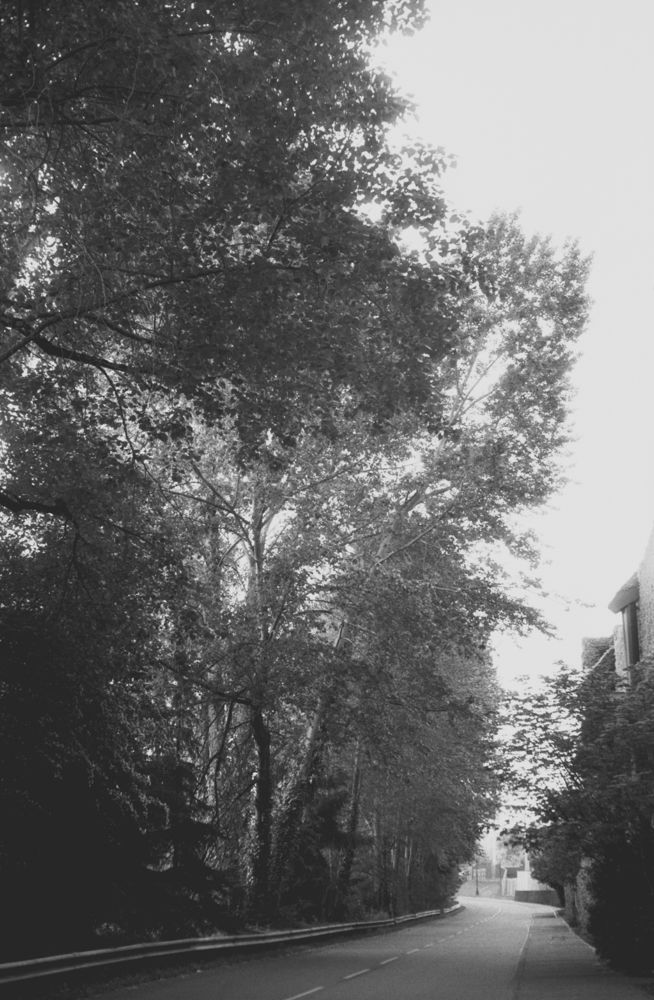 Landscapes — photo 0506