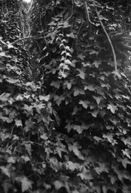 Architecture & Structure photo 0582