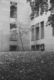 Architecture & Structure photo 0835