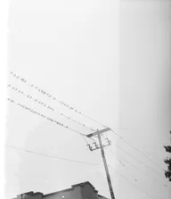 Soft Light & Atmosphere photo 0864