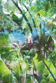 Nature & Botanicals photo 0799
