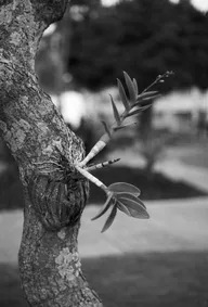 Street & Shadow photo 0110