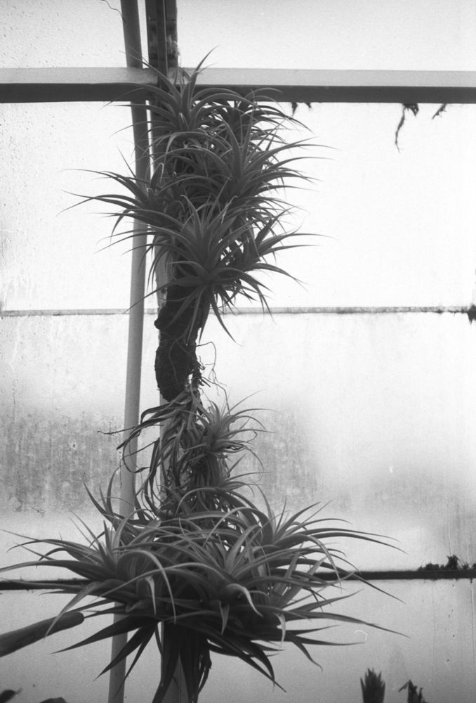 Landscapes — photo 0458