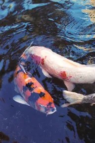 Skies & Waterscapes photo 0798