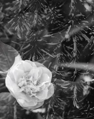 Architecture & Structure photo 0096