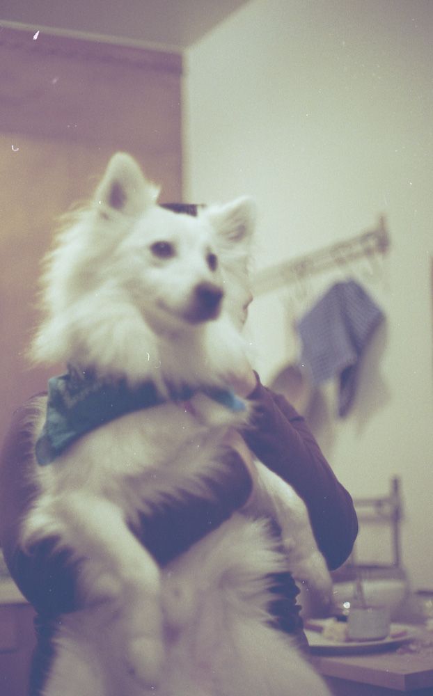 Color & Light — photo 0771