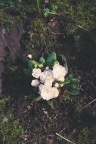 Color & Light photo 0320